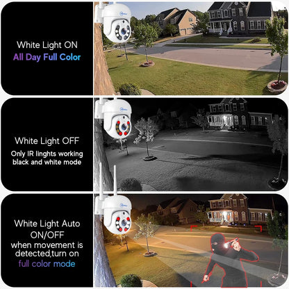 VizoGuard Pro AI Surveillance System