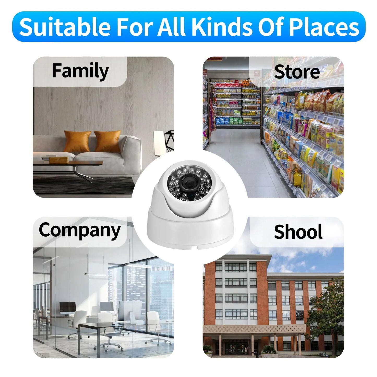 Vigilix Pro HD Dome Camera