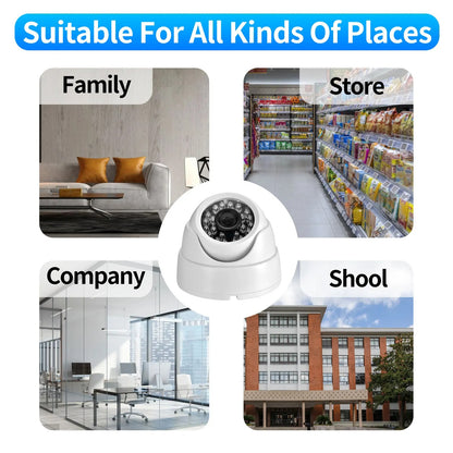 Vigilix Pro HD Dome Camera