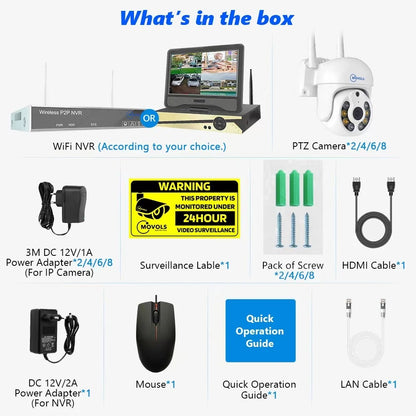 VizoGuard Pro AI Surveillance System